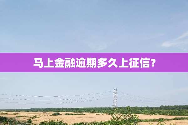 马上金融逾期多久上征信？