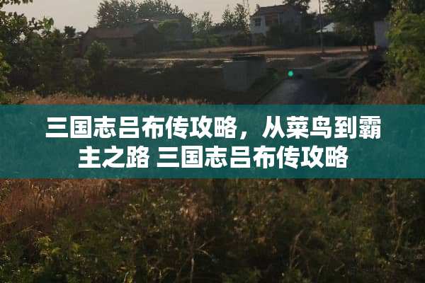 三国志吕布传攻略，从菜鸟到霸主之路 三国志吕布传攻略