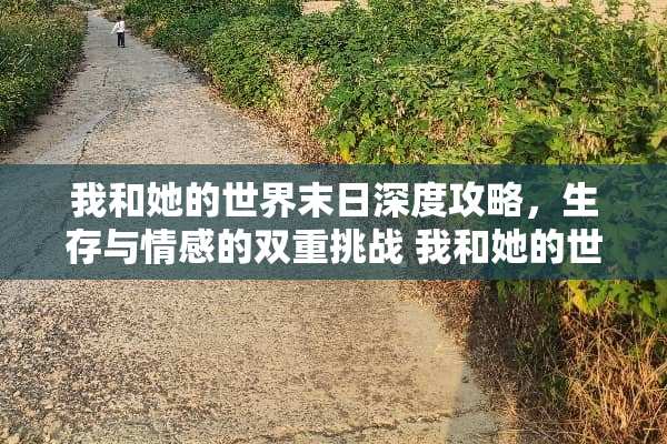 我和她的世界末日深度攻略，生存与情感的双重挑战 我和她的世界末日攻略