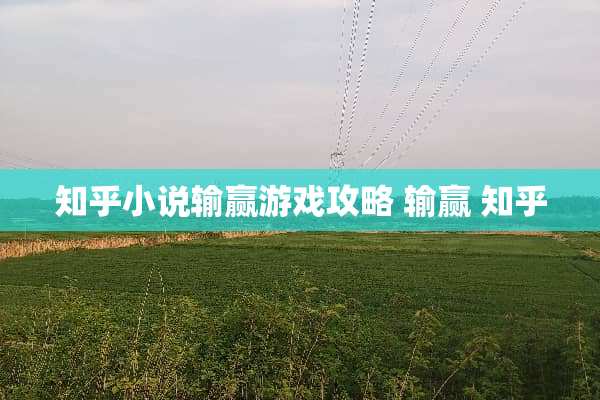 知乎小说输赢游戏攻略 输赢 知乎