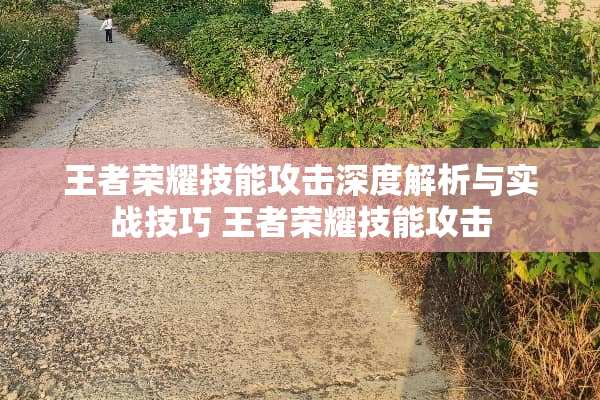 王者荣耀技能攻击深度解析与实战技巧 王者荣耀技能攻击
