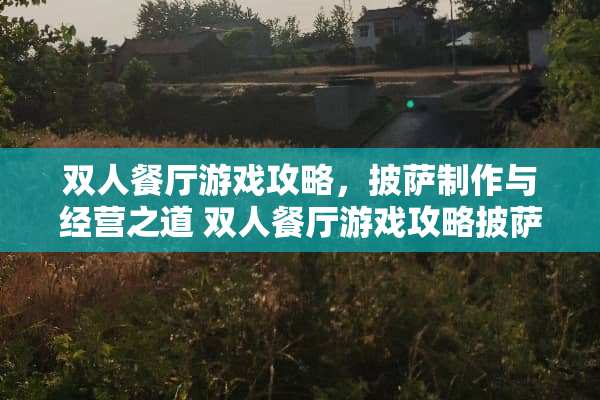 双人餐厅游戏攻略，披萨制作与经营之道 双人餐厅游戏攻略披萨