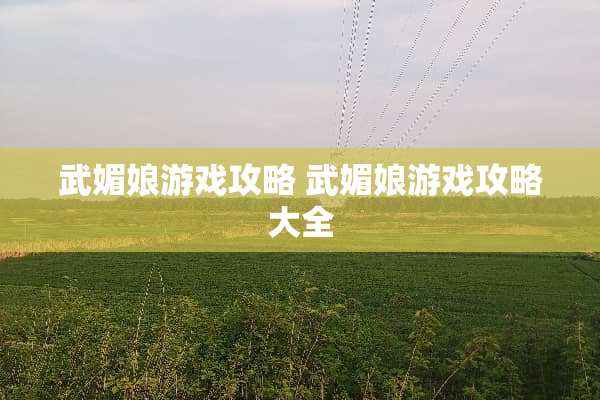 武媚娘游戏攻略 武媚娘游戏攻略大全
