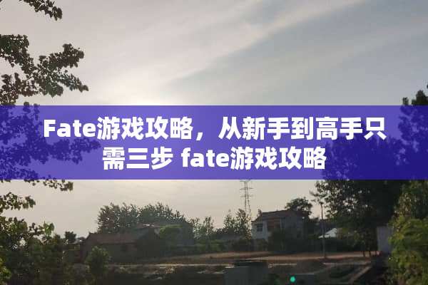 Fate游戏攻略，从新手到高手只需三步 fate游戏攻略