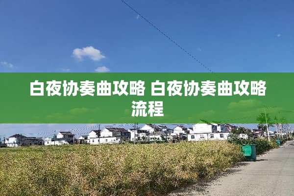 白夜协奏曲攻略 白夜协奏曲攻略流程