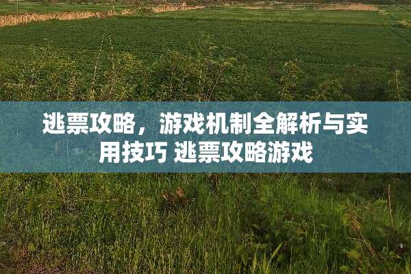 逃票攻略，游戏机制全解析与实用技巧 逃票攻略游戏
