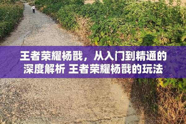 王者荣耀杨戬，从入门到精通的深度解析 王者荣耀杨戬的玩法