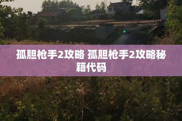 孤胆*手2攻略 孤胆*手2攻略秘籍代码