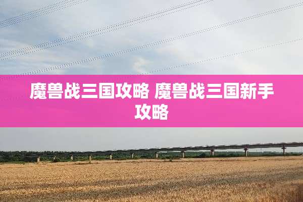 魔兽战三国攻略 魔兽战三国新手攻略