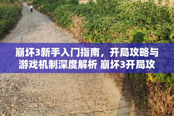 崩坏3新手入门指南，开局攻略与游戏机制深度解析 崩坏3开局攻略游戏