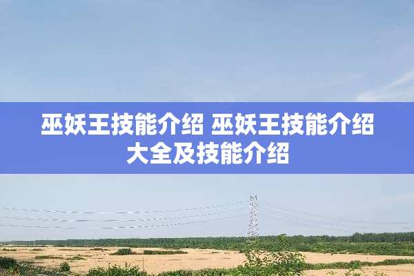 巫妖王技能介绍 巫妖王技能介绍大全及技能介绍