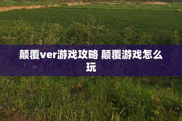 颠覆ver游戏攻略 颠覆游戏怎么玩