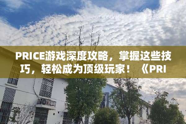 PRICE游戏深度攻略，掌握这些技巧，轻松成为**玩家！ 《PRICE》游戏攻略
