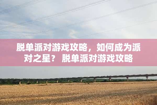 脱单派对游戏攻略，如何成为派对之星？ 脱单派对游戏攻略