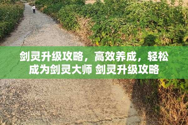 剑灵升级攻略，高效养成，轻松成为剑灵大师 剑灵升级攻略