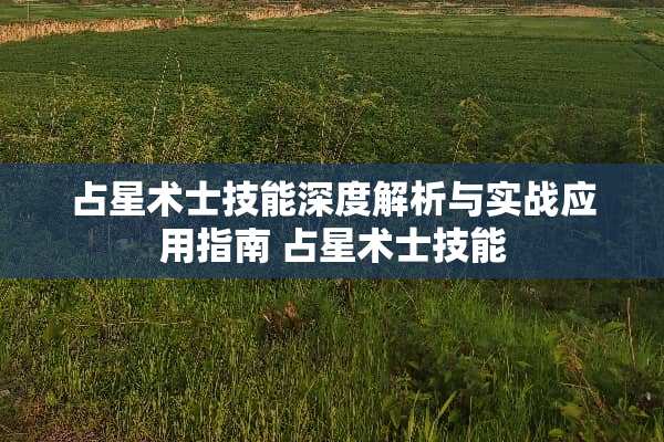 占星术士技能深度解析与实战应用指南 占星术士技能