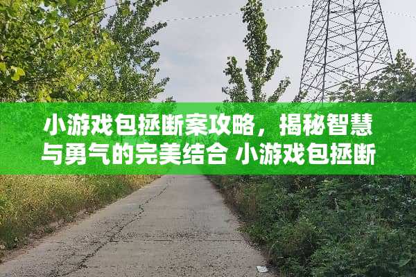 小游戏包拯断案攻略，揭秘智慧与勇气的完美结合 小游戏包拯断案攻略
