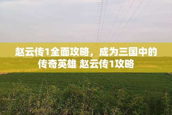 赵云传1全面攻略，成为三国中的传奇英雄 赵云传1攻略