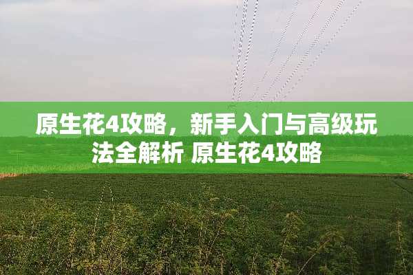 原生花4攻略，新手入门与高级玩法全解析 原生花4攻略