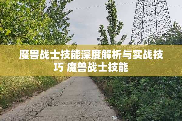 魔兽战士技能深度解析与实战技巧 魔兽战士技能