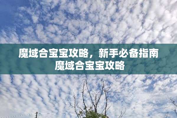魔域合宝宝攻略，新手必备指南 魔域合宝宝攻略