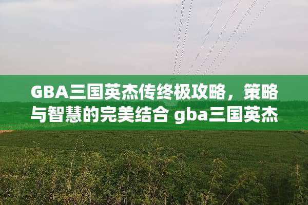 GBA三国英杰传终极攻略，策略与智慧的完美结合 gba三国英杰传攻略