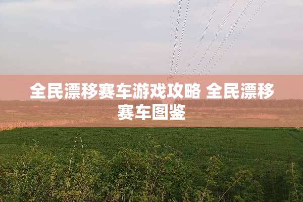 全民漂移赛车游戏攻略 全民漂移赛车图鉴