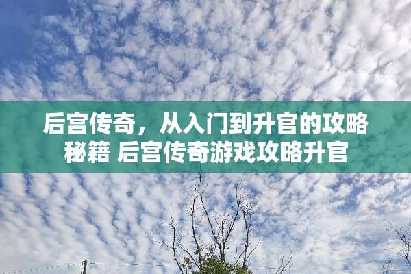 后宫传奇，从入门到升官的攻略秘籍 后宫传奇游戏攻略升官