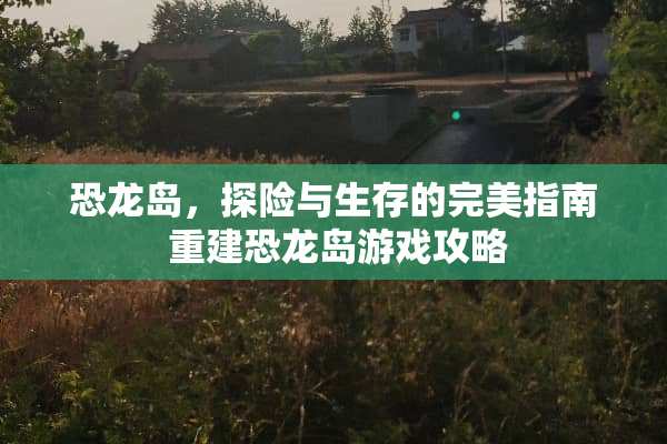 恐龙岛，探险与生存的完美指南 重建恐龙岛游戏攻略