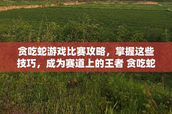 贪吃蛇游戏比赛攻略，掌握这些技巧，成为赛道上的王者 贪吃蛇游戏比赛攻略