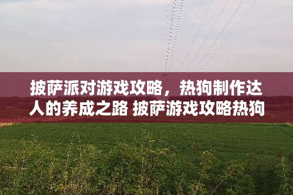 披萨派对游戏攻略，热狗制作达人的养成之路 披萨游戏攻略热狗