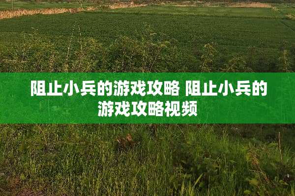 阻止小兵的游戏攻略 阻止小兵的游戏攻略视频