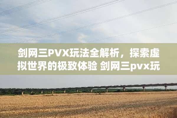 剑网三PVX玩法全解析，探索虚拟世界的极致体验 剑网三pvx玩法