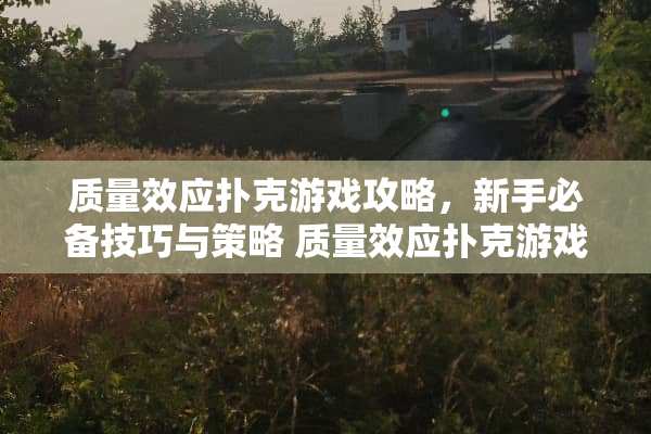 质量效应**游戏攻略，新手必备技巧与策略 质量效应**游戏攻略