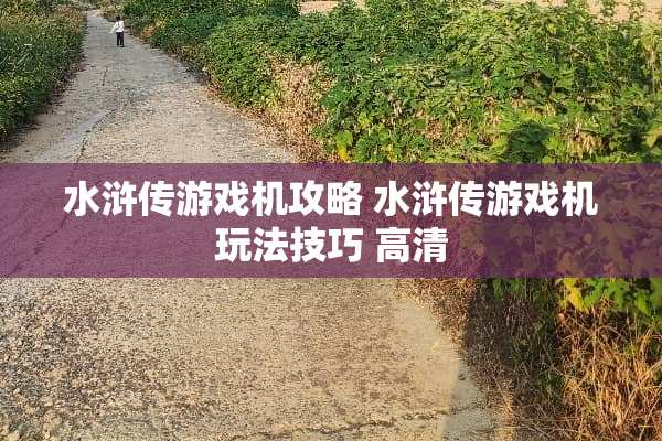 水浒传游戏机攻略 水浒传游戏机玩法技巧 高清