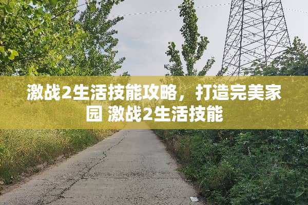 激战2生活技能攻略，打造完美家园 激战2生活技能