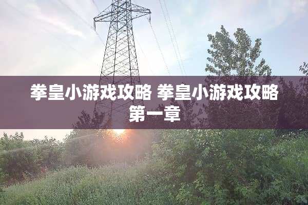 拳皇小游戏攻略 拳皇小游戏攻略第一章