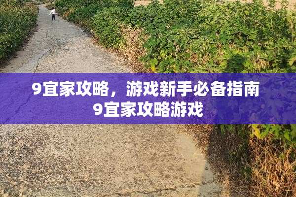 9宜家攻略，游戏新手必备指南 9宜家攻略游戏