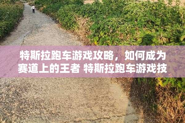 特斯拉跑车游戏攻略，如何成为赛道上的王者 特斯拉跑车游戏技巧攻略