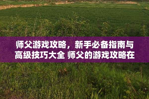 师父游戏攻略，新手必备指南与高级技巧大全 师父的游戏攻略在哪
