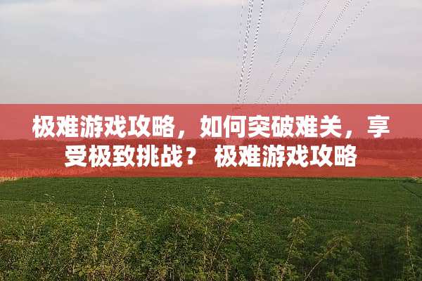 极难游戏攻略，如何突破难关，享受极致挑战？ 极难游戏攻略