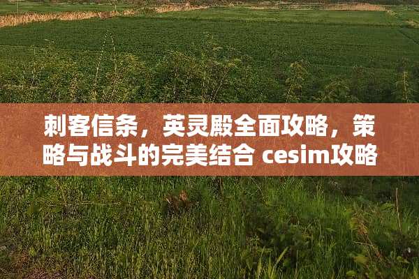 刺客信条，英灵殿全面攻略，策略与战斗的完美结合 cesim攻略