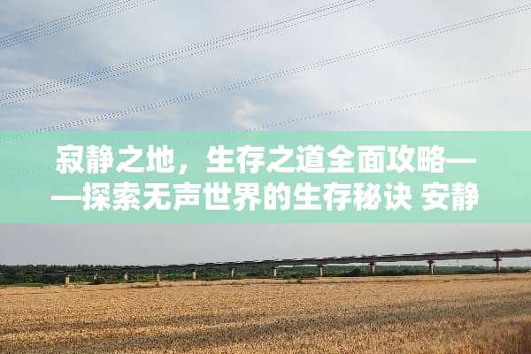 寂静之地，生存之道全面攻略——探索无声世界的生存秘诀 安静的人游戏攻略大全