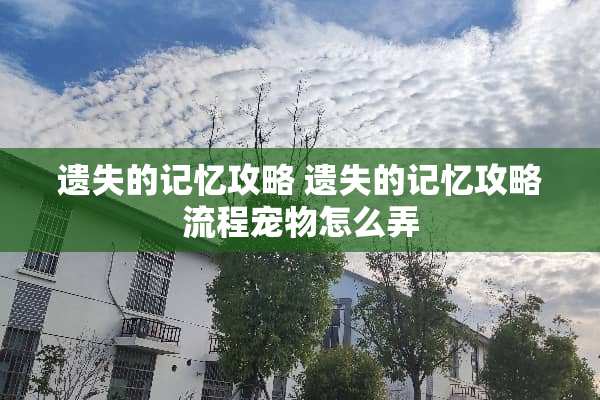 遗失的记忆攻略 遗失的记忆攻略流程宠物怎么弄