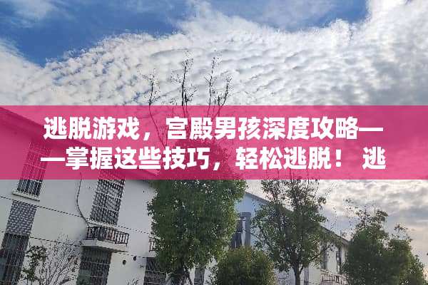逃脱游戏，宫殿男孩深度攻略——掌握这些技巧，轻松逃脱！ 逃脱游戏宫殿男孩攻略