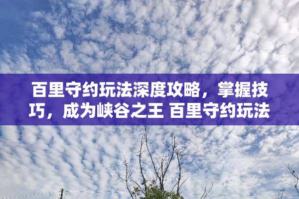 百里守约玩法深度攻略，掌握技巧，成为峡谷之王 百里守约玩法攻略
