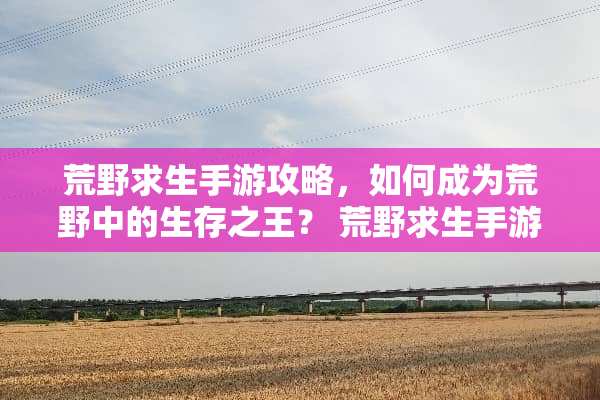 荒野求生手游攻略，如何成为荒野中的生存之王？ 荒野求生手游攻略
