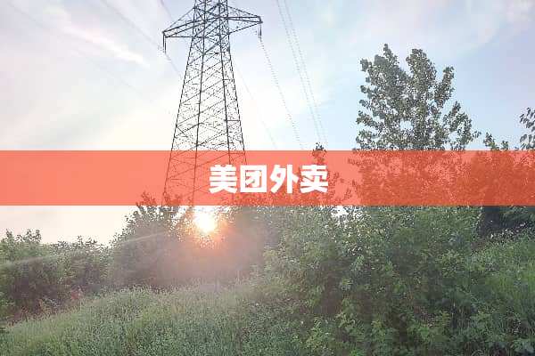 美团外卖