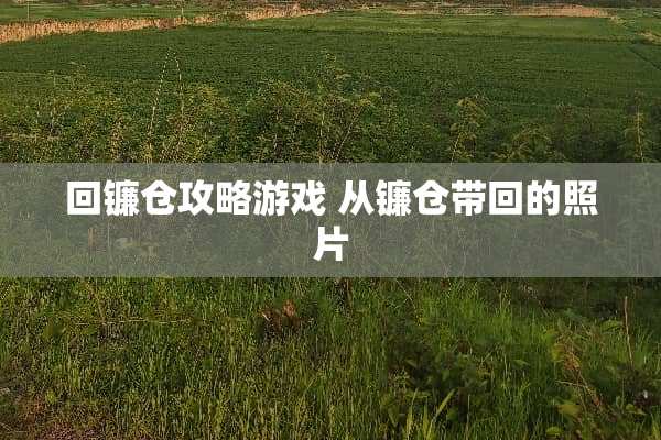 回镰仓攻略游戏 从镰仓带回的照片
