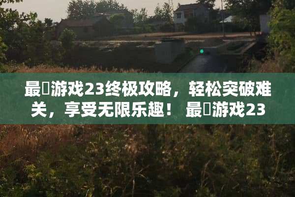 最囧游戏23终极攻略，轻松突破难关，享受无限乐趣！ 最囧游戏23攻略